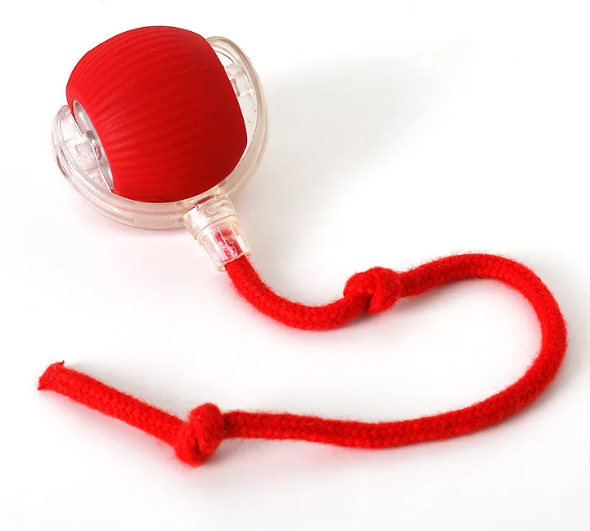 PurrPlay Self-Rolling Cat Toy Ball, red with clear housing and attached red rope